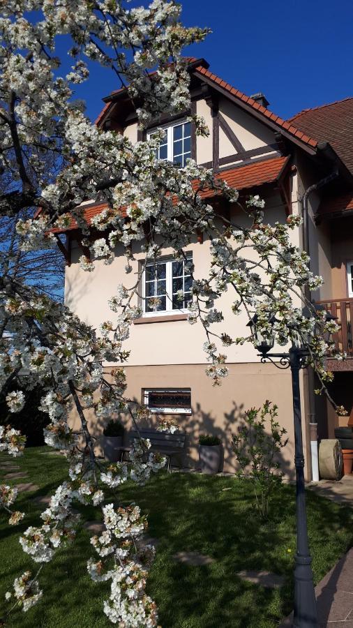 Gite "Le Platane" 45 M2 - Climatise Monswiller Luaran gambar