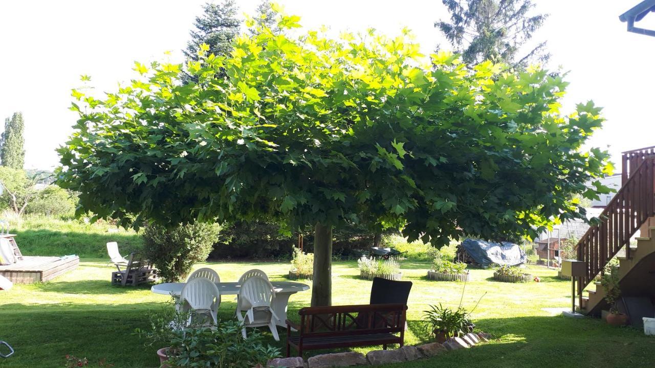 Gite "Le Platane" 45 M2 - Climatise Monswiller Luaran gambar