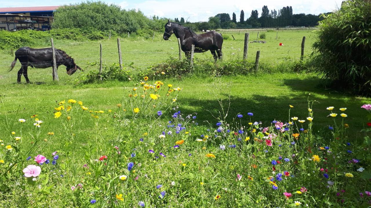 Gite "Le Platane" 45 M2 - Climatise Monswiller Luaran gambar