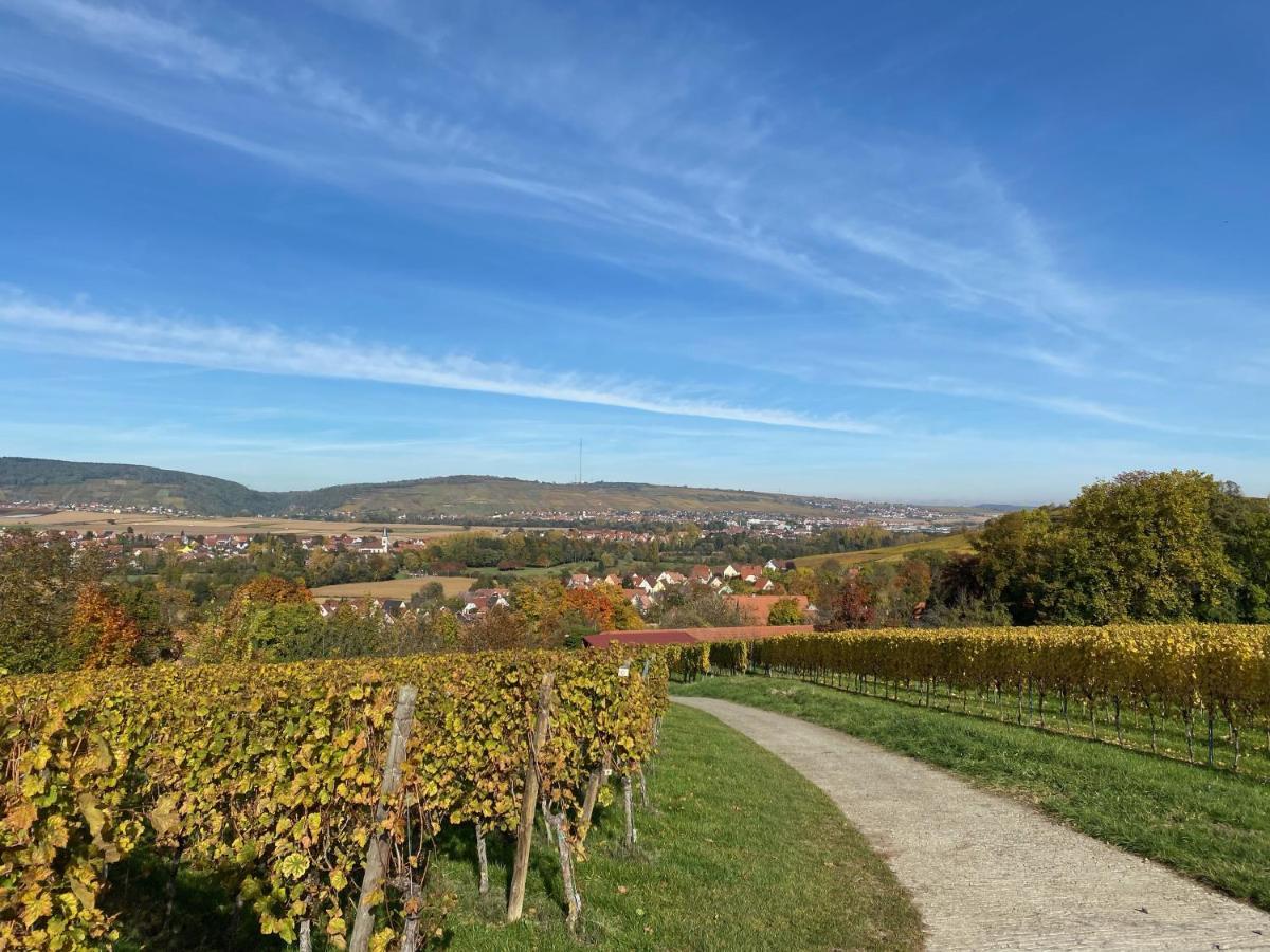 Gite "Le Platane" 45 M2 - Climatise Monswiller Luaran gambar