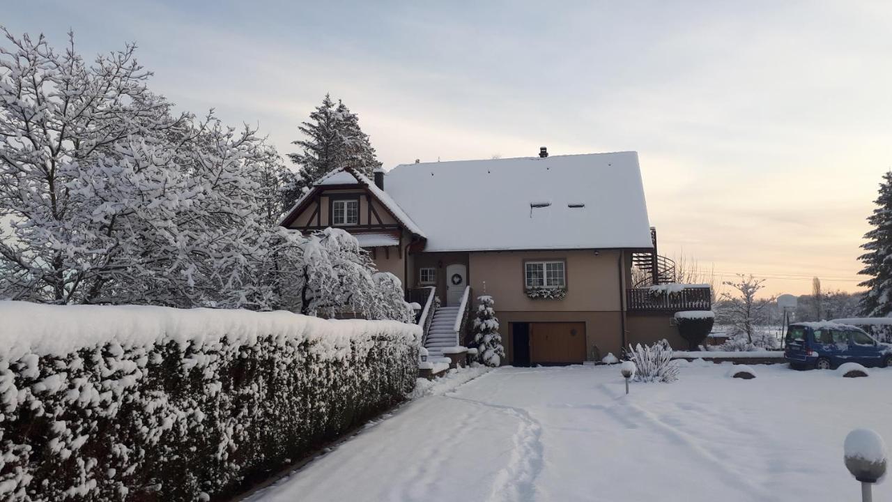 Gite "Le Platane" 45 M2 - Climatise Monswiller Luaran gambar