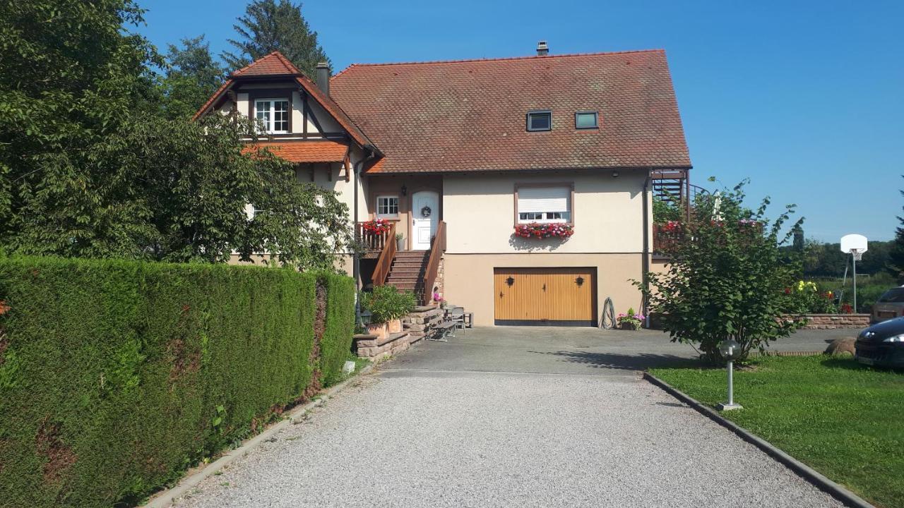 Gite "Le Platane" 45 M2 - Climatise Monswiller Luaran gambar