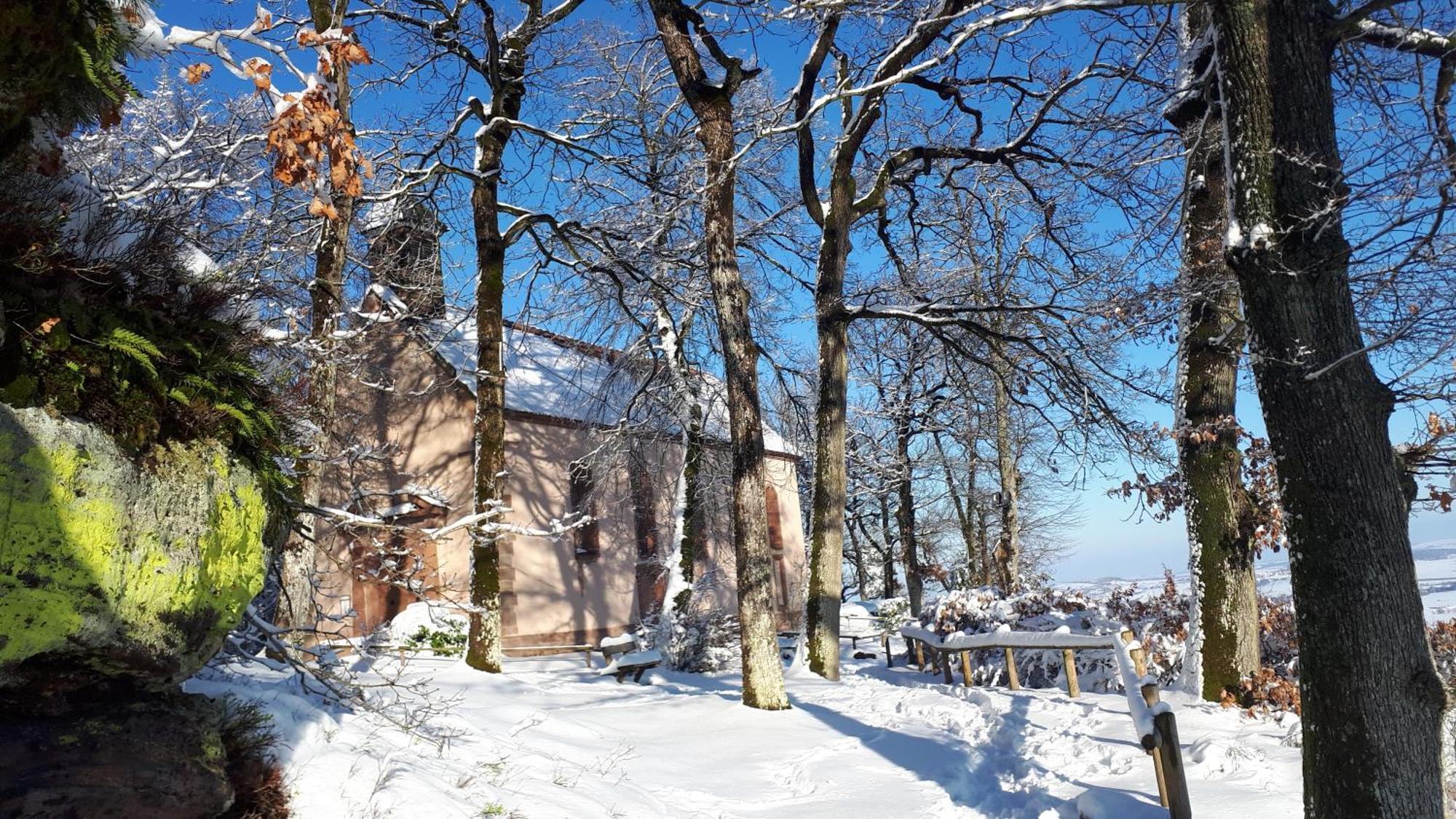 Gite "Le Platane" 45 M2 - Climatise Monswiller Luaran gambar